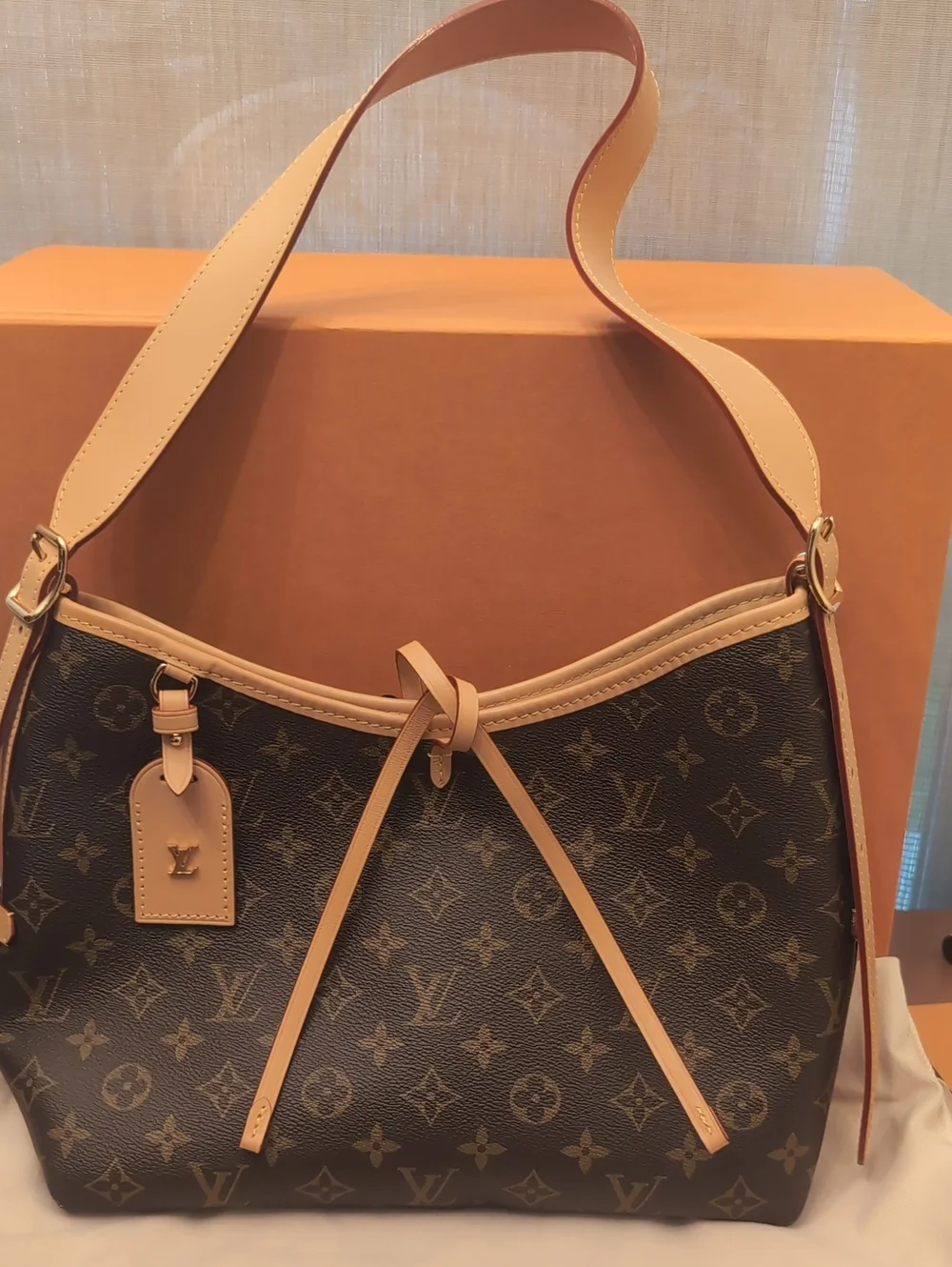 LV Carry All